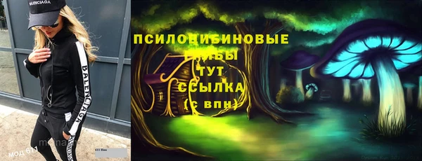 Альфа ПВП Алзамай