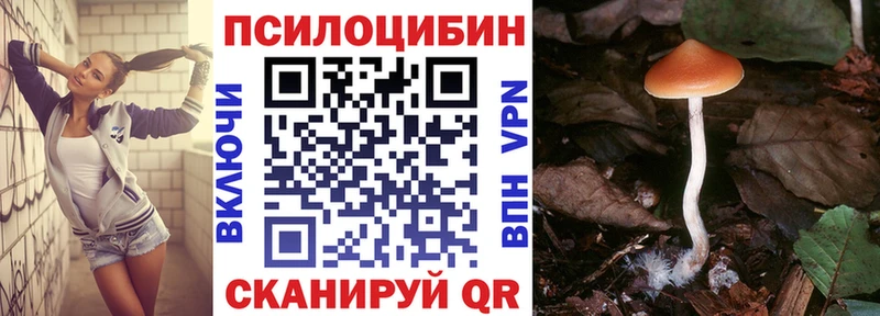 Псилоцибиновые грибы MAGIC MUSHROOMS  ОМГ ОМГ ссылка  Туймазы 